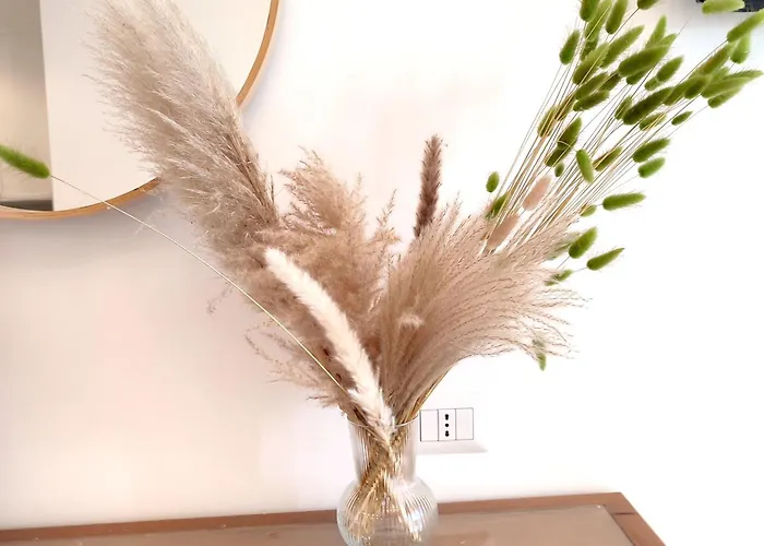 Nest Roma